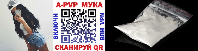 Alfa_PVP СК Сыктывкар