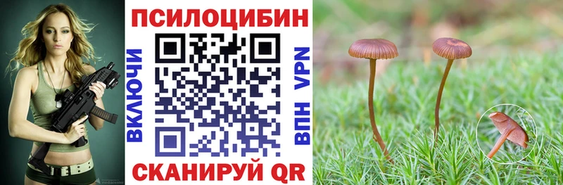 omg как войти  Сыктывкар  Галлюциногенные грибы ЛСД 